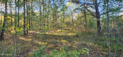 0 View Pointe Dr, Clinton, MS 39056 photo 14