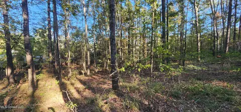 0 View Pointe Dr, Clinton, MS 39056 photo 10