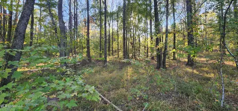 0 View Pointe Dr, Clinton, MS 39056 photo 15