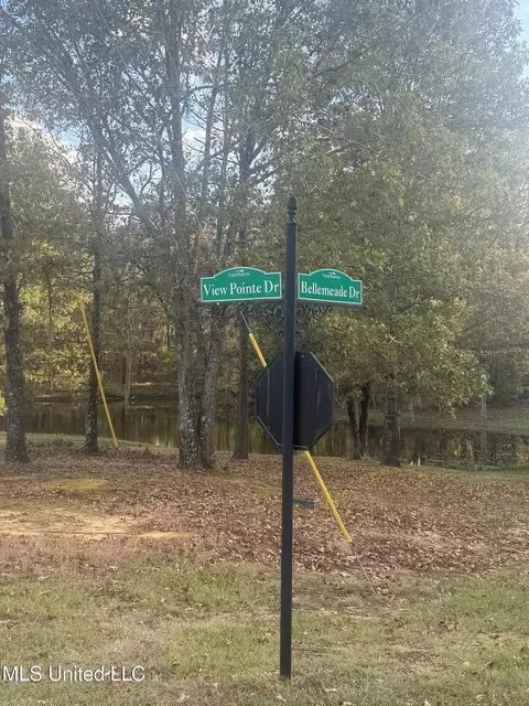 0 View Pointe Dr, Clinton, MS 39056 photo 21