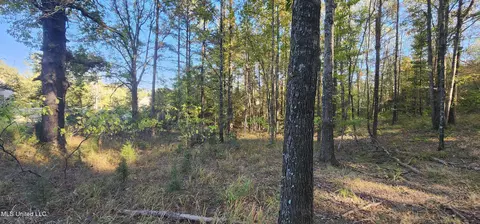 0 View Pointe Dr, Clinton, MS 39056 photo 9
