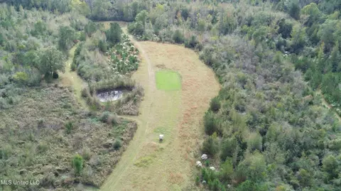 0 E Burt Loop Rd, Crystal Springs, MS 39059 photo 6