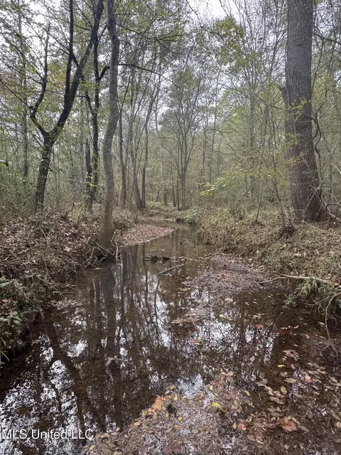 0 E Burt Loop Rd, Crystal Springs, MS 39059 photo 13