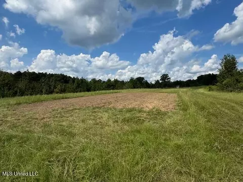 0 E Burt Loop Rd, Crystal Springs, MS 39059 photo 12
