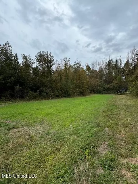 0 E Burt Loop Rd, Crystal Springs, MS 39059 photo 10