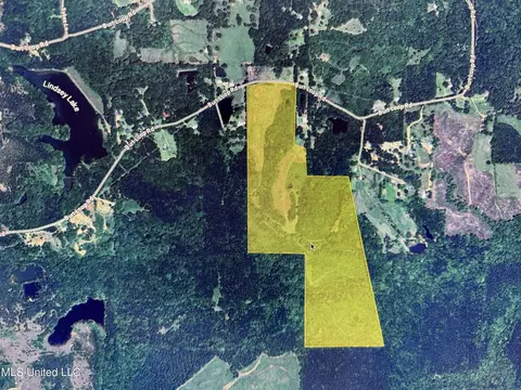 0 E Burt Loop Rd, Crystal Springs, MS 39059 photo 3