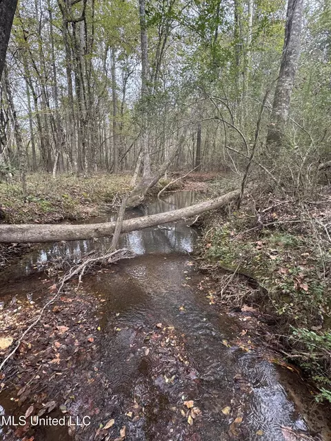 0 E Burt Loop Rd, Crystal Springs, MS 39059 photo 14