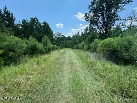 0 E Burt Loop Rd, Crystal Springs, MS 39059 photo 11