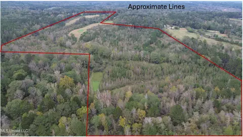0 E Burt Loop Rd, Crystal Springs, MS 39059 photo 2