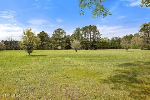 Other - 124 Gus Phillips Rd, Braxton, MS 39044 photo 3 of 10