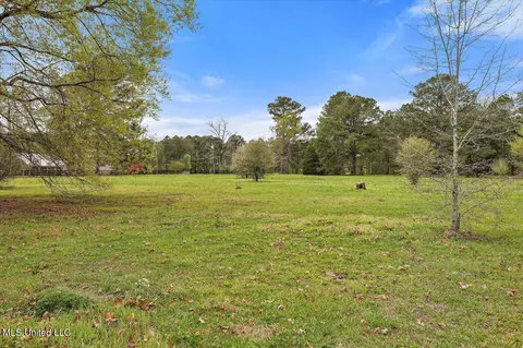 Other - 124 Gus Phillips Rd, Braxton, MS 39044 photo 10 of 10