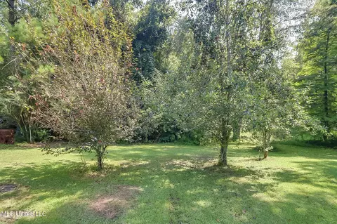 2278 E Mchenry Rd, Perkinston, MS 39573 photo 40