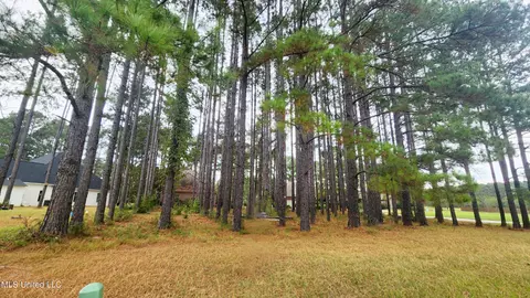 0 Pins Ct, Natchez, MS 39120