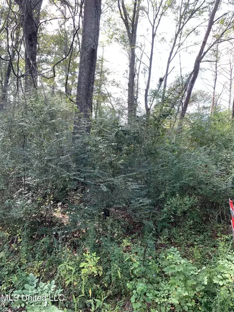 lot11 George Kersh Dr, Pearl, MS 39208