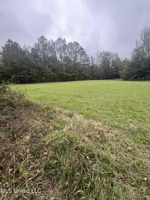 Old Jackson Road Road, Forest, MS 39074 photo 2