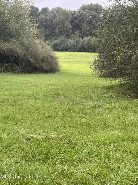 Old Jackson Road Road, Forest, MS 39074 photo 5