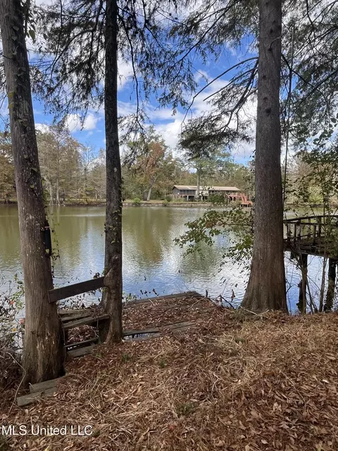 168 Beaver Dam Dr, Lucedale, MS 39452 photo 12