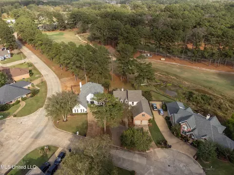 View/Area - 503 Bay Pointe Cv, Brandon, MS 39047 photo 1 of 8