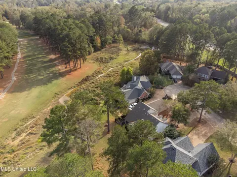 View/Area - 503 Bay Pointe Cv, Brandon, MS 39047 photo 3 of 8