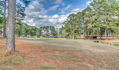 Exterior - 503 Bay Pointe Cv, Brandon, MS 39047 photo 6 of 15
