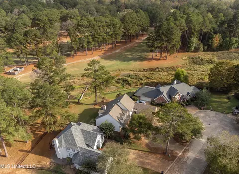View/Area - 503 Bay Pointe Cv, Brandon, MS 39047 photo 7 of 8