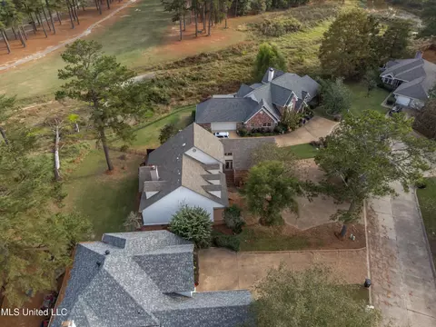 View/Area - 503 Bay Pointe Cv, Brandon, MS 39047 photo 4 of 8