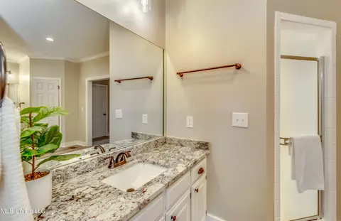 Bath - 503 Bay Pointe Cv, Brandon, MS 39047 photo 3 of 9