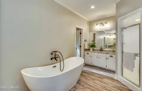 Bath - 503 Bay Pointe Cv, Brandon, MS 39047 photo 6 of 9