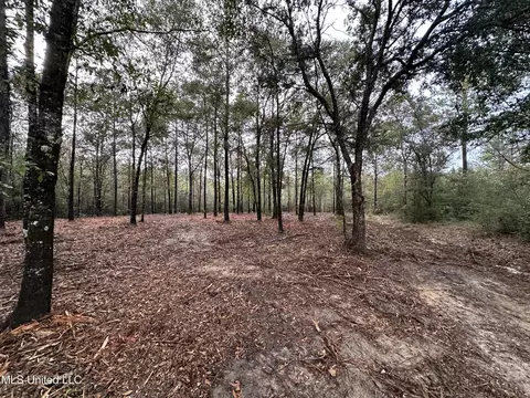 000 Robin St, Vancleave, MS 39565 photo 2