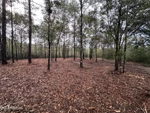 000 Robin St, Vancleave, MS 39565 photo 4