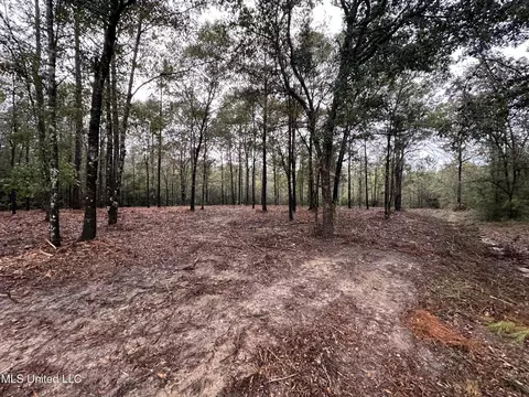 000 Robin St, Vancleave, MS 39565 photo 3