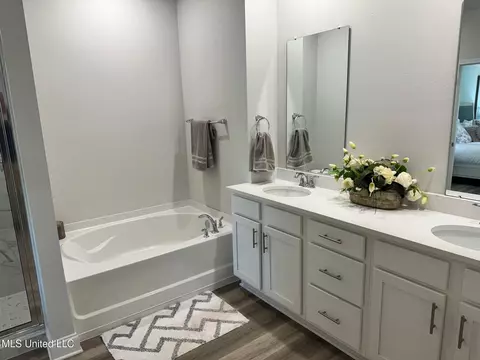Bath - 18400 Spring Hill Dr, Saucier, MS 39574 photo 4 of 4