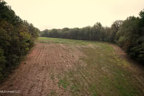 Drew Ruleville Road, Ruleville, MS 38771 photo 19