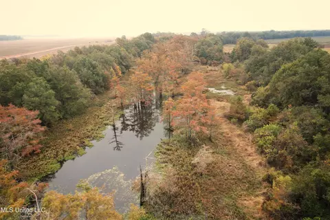 Drew Ruleville Road, Ruleville, MS 38771 photo 5