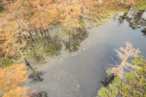 Drew Ruleville Road, Ruleville, MS 38771 photo 9