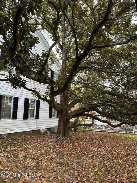 Exterior - 621 Washington St, Natchez, MS 39120 photo 3 of 9