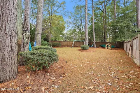 Exterior - 409 Audubon Ct, Madison, MS 39110 photo 10 of 14