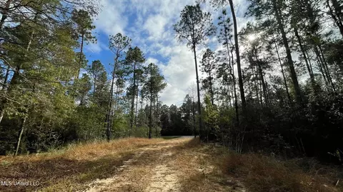 Bethel Road, Saucier, MS 39574 photo 6