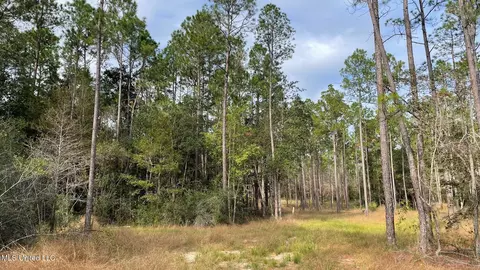Bethel Road, Saucier, MS 39574 photo 10