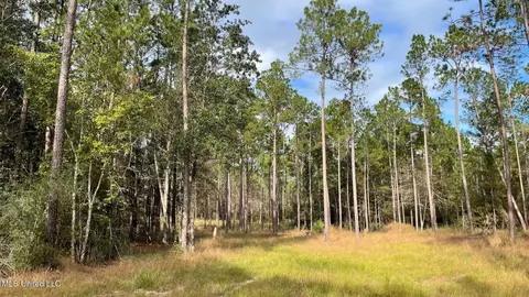 Bethel Road, Saucier, MS 39574 photo 11