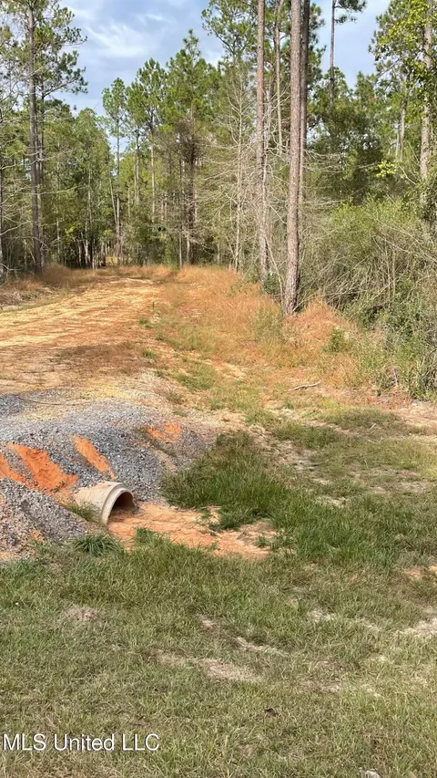 Bethel Road, Saucier, MS 39574 photo 7
