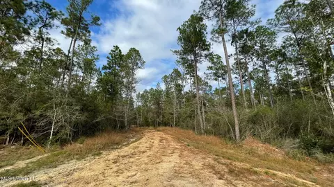 Bethel Road, Saucier, MS 39574 photo 9