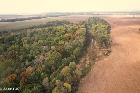 Drew Ruleville Road, Ruleville, MS 38771 photo 9