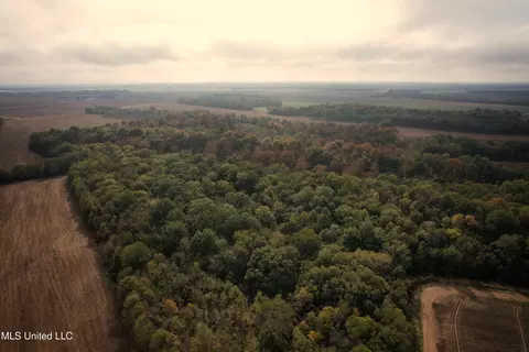Drew Ruleville Road, Ruleville, MS 38771 photo 23