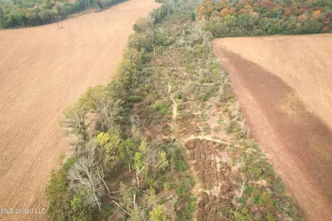 Drew Ruleville Road, Ruleville, MS 38771 photo 14