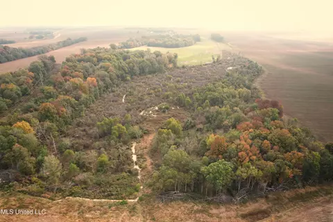 Drew Ruleville Road, Ruleville, MS 38771 photo 2
