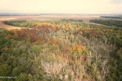 Drew Ruleville Road, Ruleville, MS 38771 photo 8