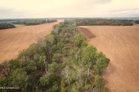 Drew Ruleville Road, Ruleville, MS 38771 photo 13