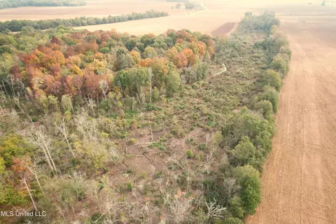 Drew Ruleville Road, Ruleville, MS 38771 photo 6