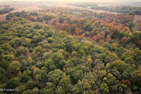 Drew Ruleville Road, Ruleville, MS 38771 photo 24